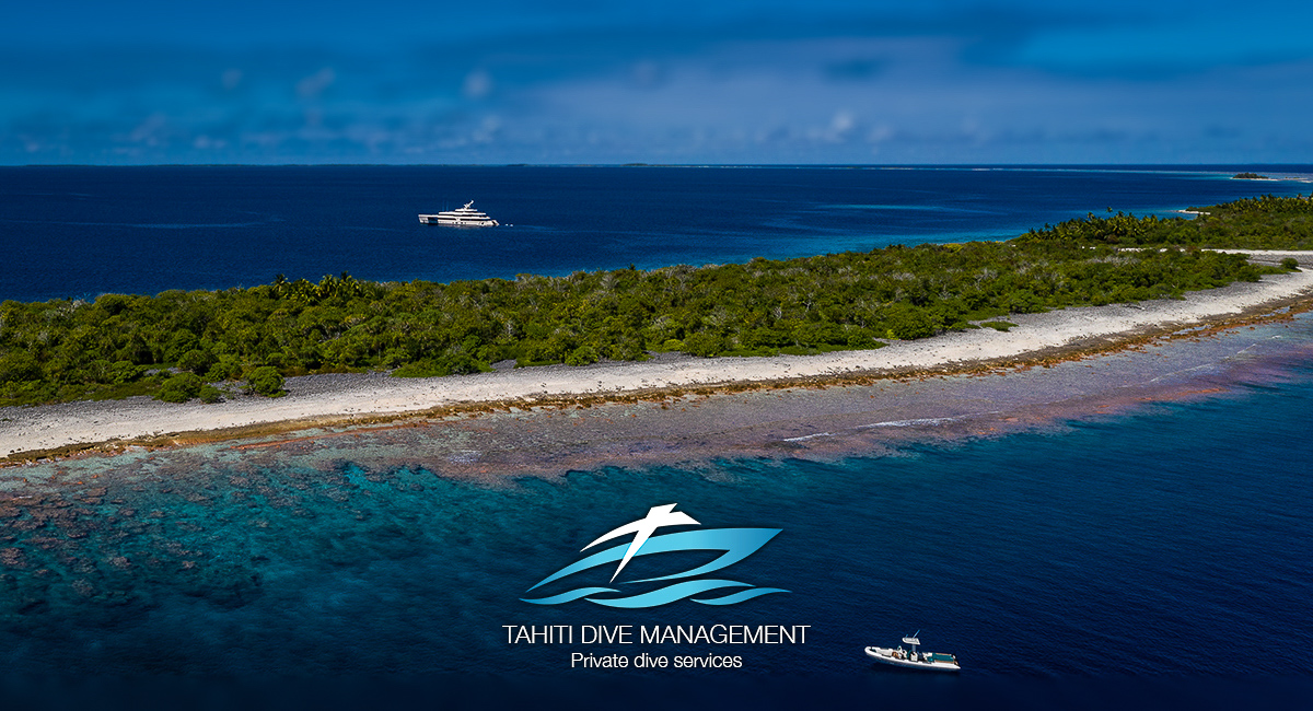 www.tahiti-dive-management.com