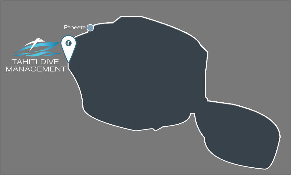 Tahiti Dive Management Carte