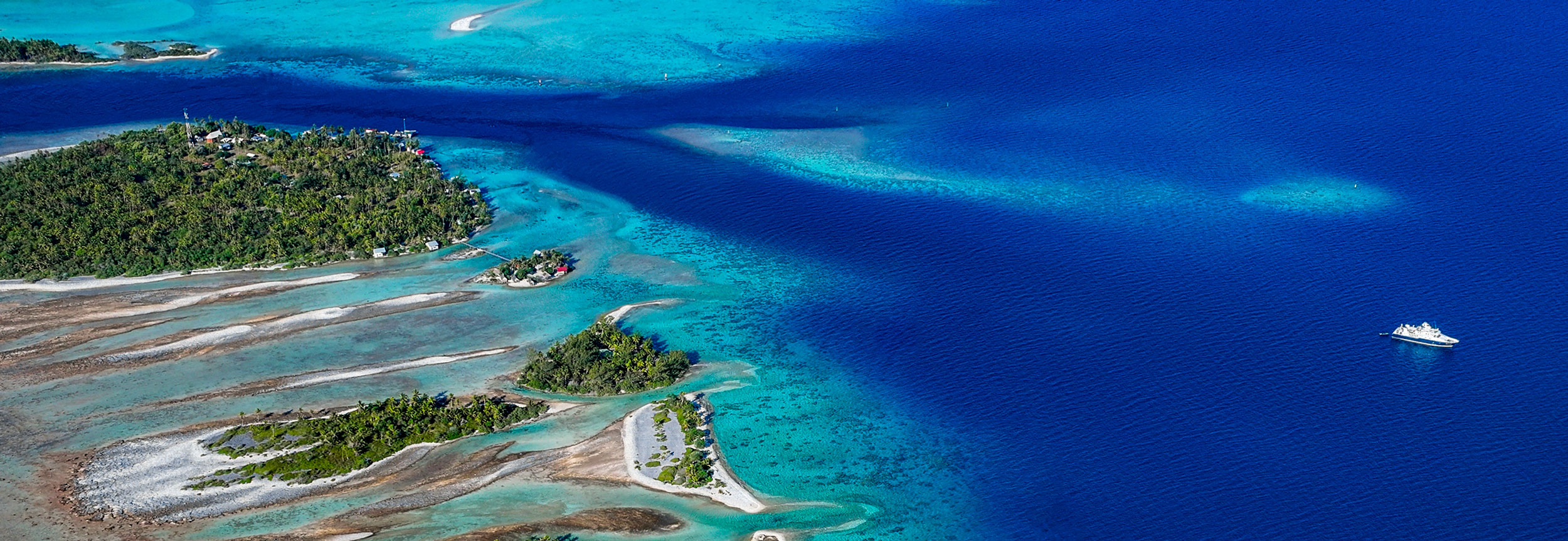 Tahiti Dive Management
